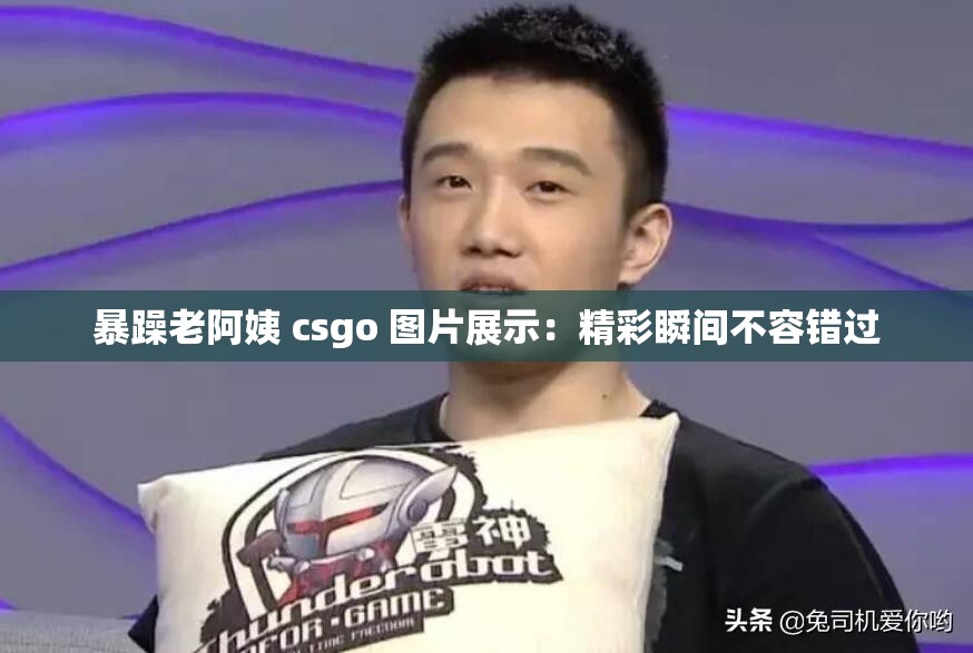 暴躁老阿姨 csgo 图片展示：精彩瞬间不容错过