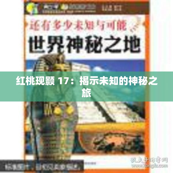 红桃现颢 17：揭示未知的神秘之旅