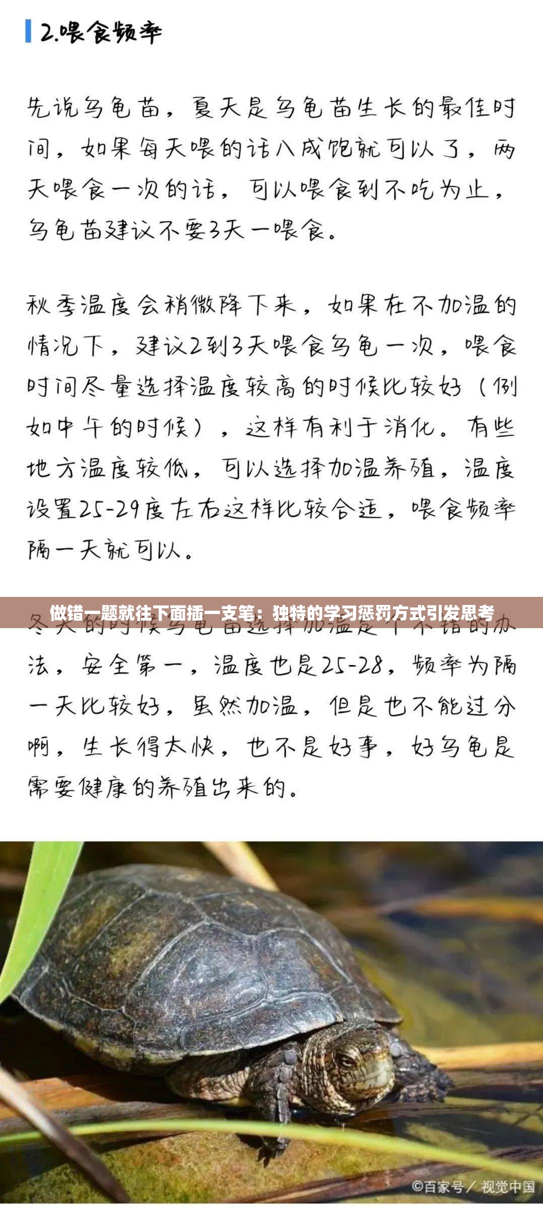 做错一题就往下面插一支笔：独特的学习惩罚方式引发思考