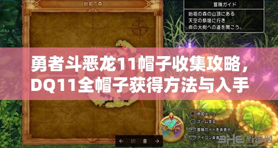 勇者斗恶龙11帽子收集攻略，DQ11全帽子获得方法与入手途径全解析