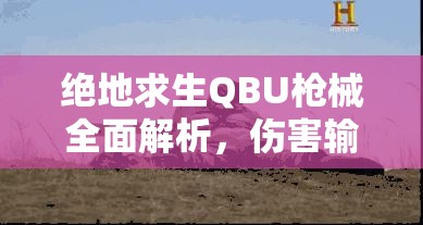 绝地求生QBU枪械全面解析，伤害输出与数据属性深度探讨