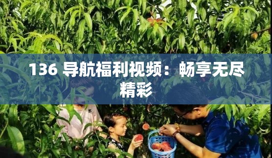 136 导航福利视频：畅享无尽精彩