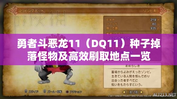 勇者斗恶龙11（DQ11）种子掉落怪物及高效刷取地点一览