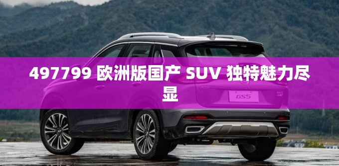 497799 欧洲版国产 SUV 独特魅力尽显