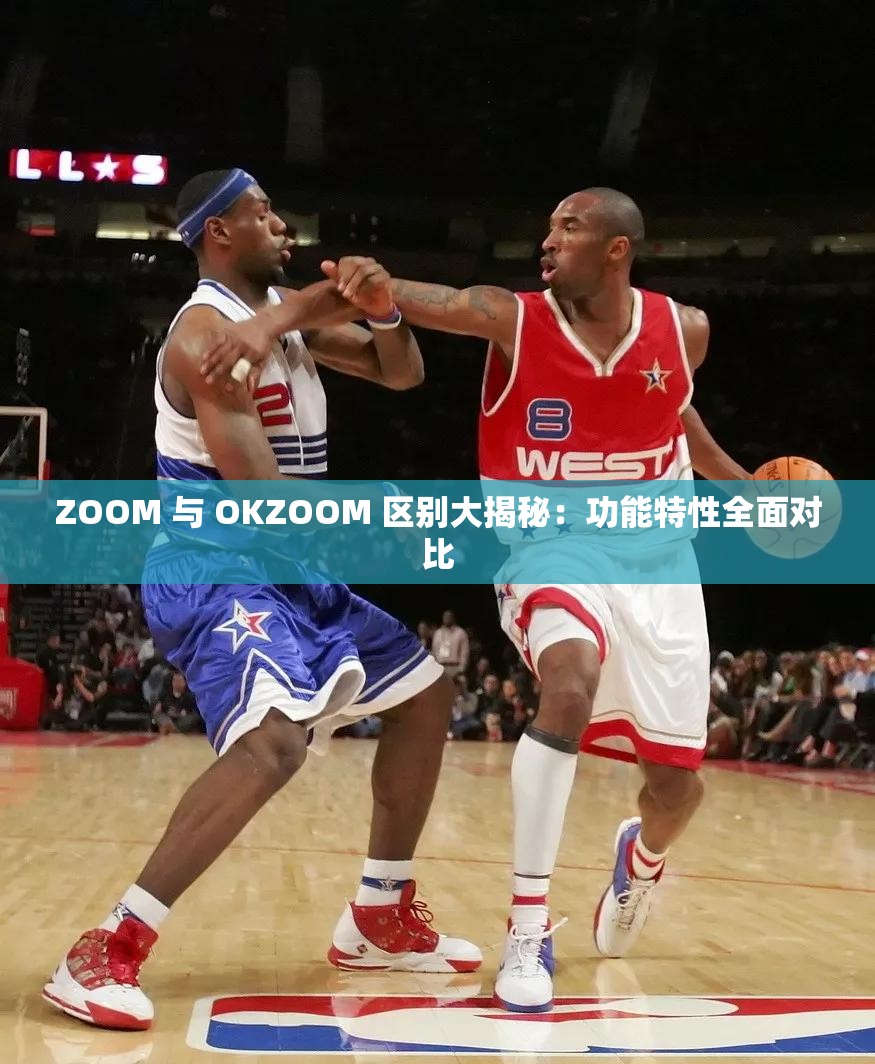 ZOOM 与 OKZOOM 区别大揭秘：功能特性全面对比