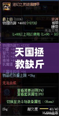 天国拯救缺斤少两全面攻略，揭秘资源管理中的高效智慧抉择技巧