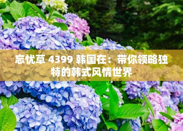 忘忧草 4399 韩国在：带你领略独特的韩式风情世界