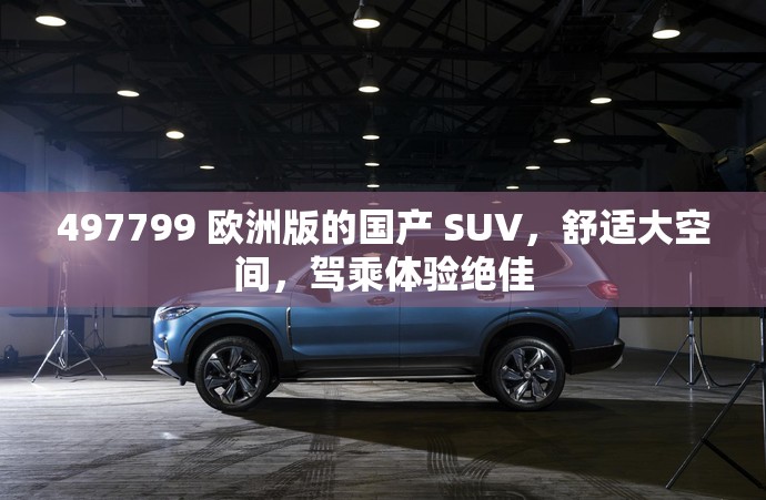 497799 欧洲版的国产 SUV，舒适大空间，驾乘体验绝佳