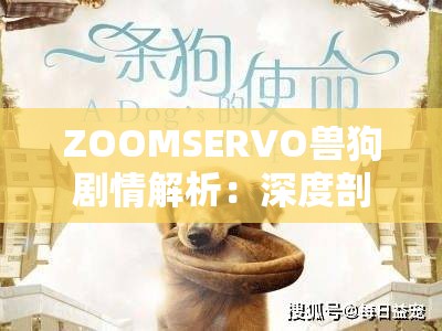 ZOOMSERVO兽狗剧情解析：深度剖析其背后的故事与意义