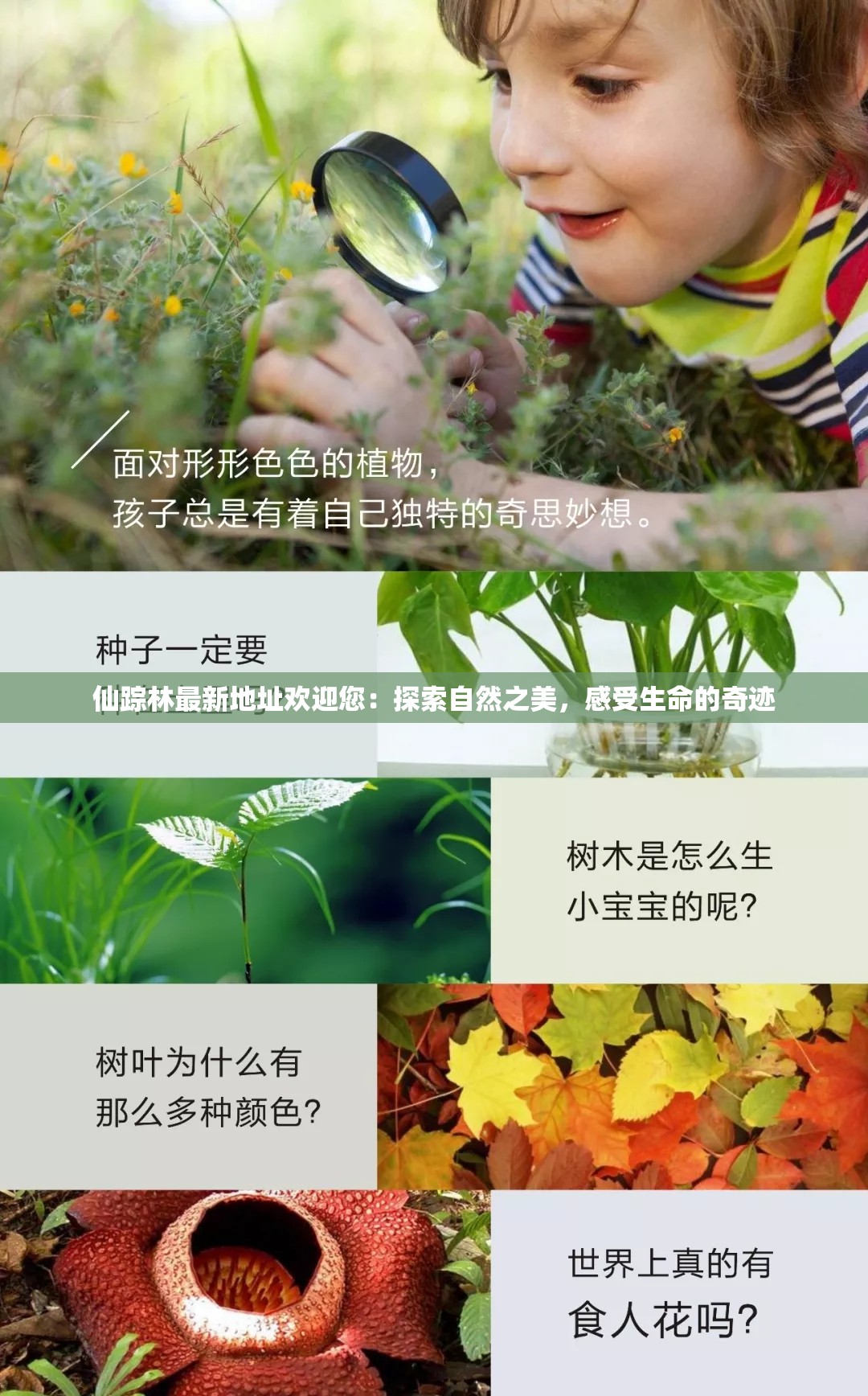 仙踪林最新地址欢迎您：探索自然之美，感受生命的奇迹