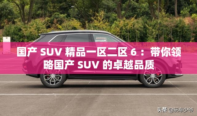 国产 SUV 精品一区二区 6 ：带你领略国产 SUV 的卓越品质