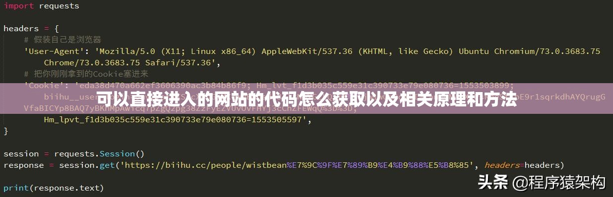 可以直接进入的网站的代码怎么获取以及相关原理和方法