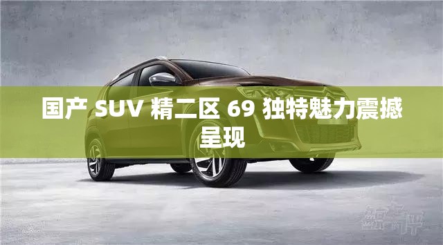 国产 SUV 精二区 69 独特魅力震撼呈现