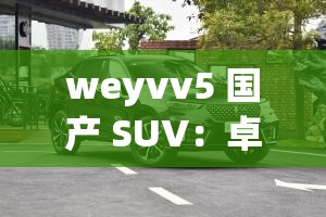 weyvv5 国产 SUV：卓越品质引领时尚出行