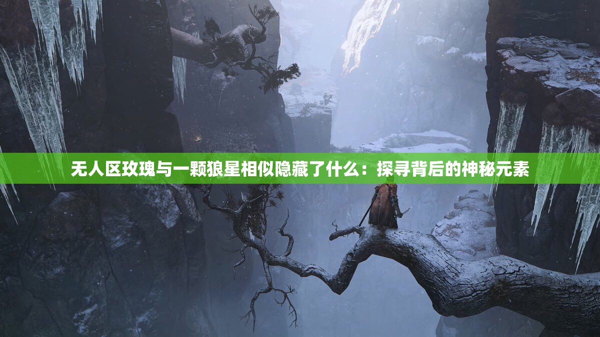 无人区玫瑰与一颗狼星相似隐藏了什么：探寻背后的神秘元素