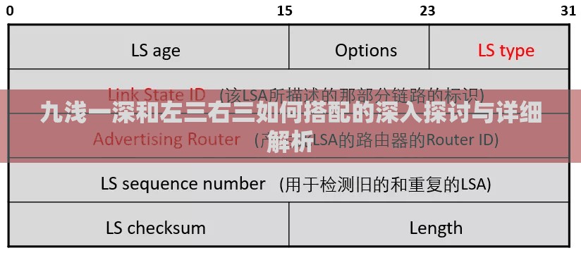 九浅一深和左三右三如何搭配的深入探讨与详细解析