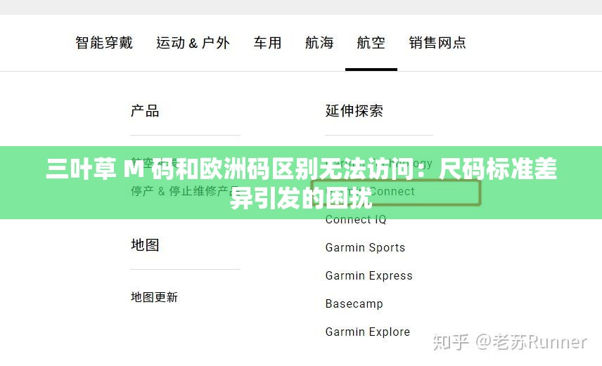 三叶草 M 码和欧洲码区别无法访问：尺码标准差异引发的困扰