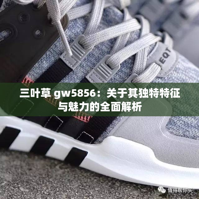 三叶草 gw5856：关于其独特特征与魅力的全面解析