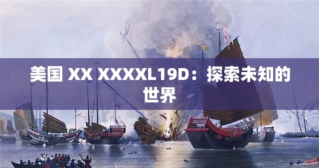 美国 XX XXXXL19D：探索未知的世界