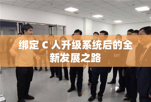 绑定 C 人升级系统后的全新发展之路