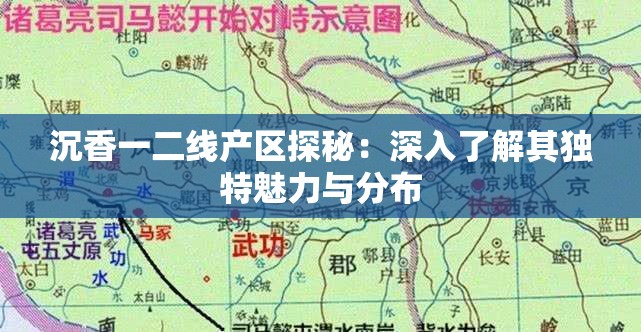 沉香一二线产区探秘：深入了解其独特魅力与分布