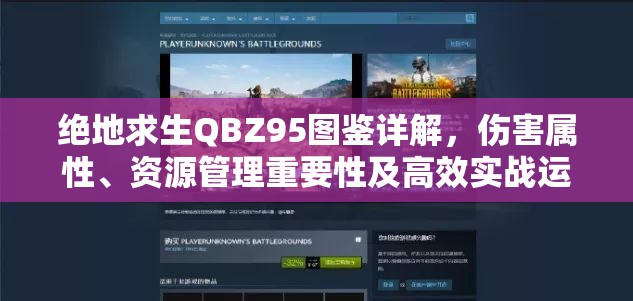 绝地求生QBZ95图鉴详解，伤害属性、资源管理重要性及高效实战运用策略