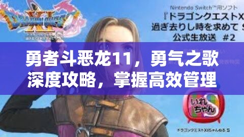 勇者斗恶龙11，勇气之歌深度攻略，掌握高效管理与任务完成的绝妙艺术