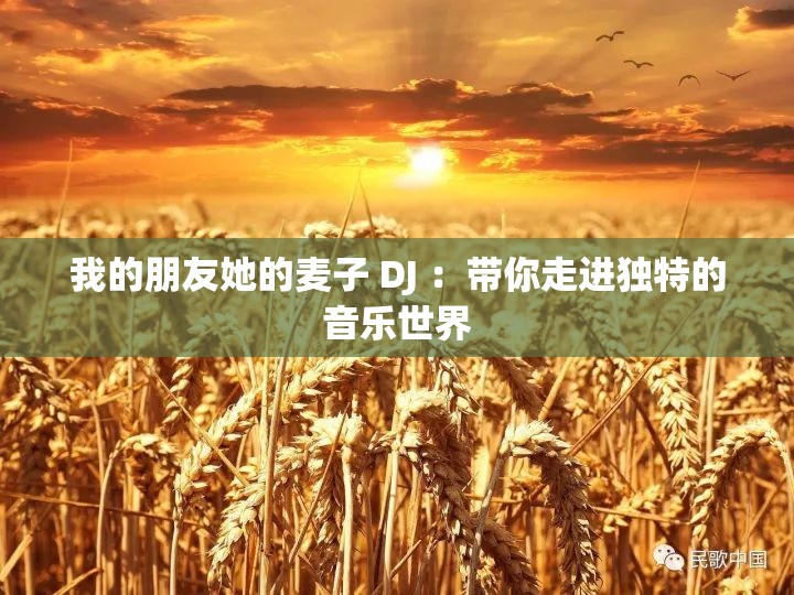 我的朋友她的麦子 DJ ：带你走进独特的音乐世界