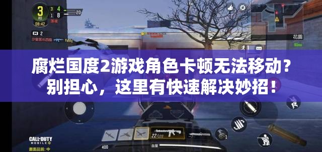 腐烂国度2游戏角色卡顿无法移动？别担心，这里有快速解决妙招！