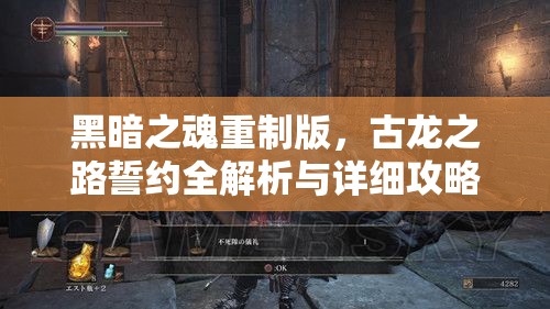 黑暗之魂重制版，古龙之路誓约全解析与详细攻略指南