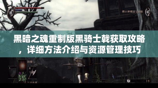 黑暗之魂重制版黑骑士戟获取攻略，详细方法介绍与资源管理技巧