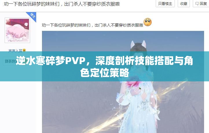 逆水寒碎梦PVP，深度剖析技能搭配与角色定位策略