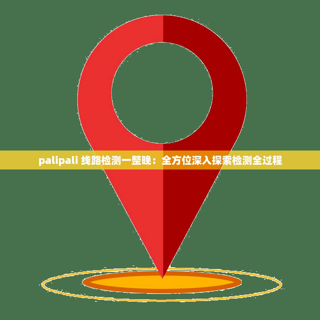 palipali 线路检测一整晚：全方位深入探索检测全过程