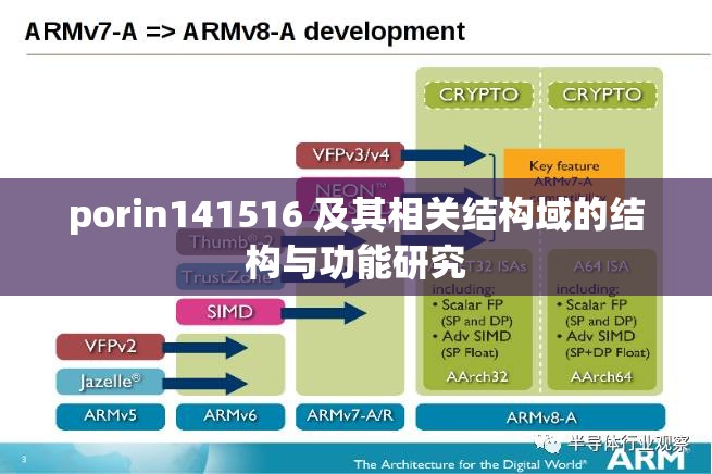 porin141516 及其相关结构域的结构与功能研究