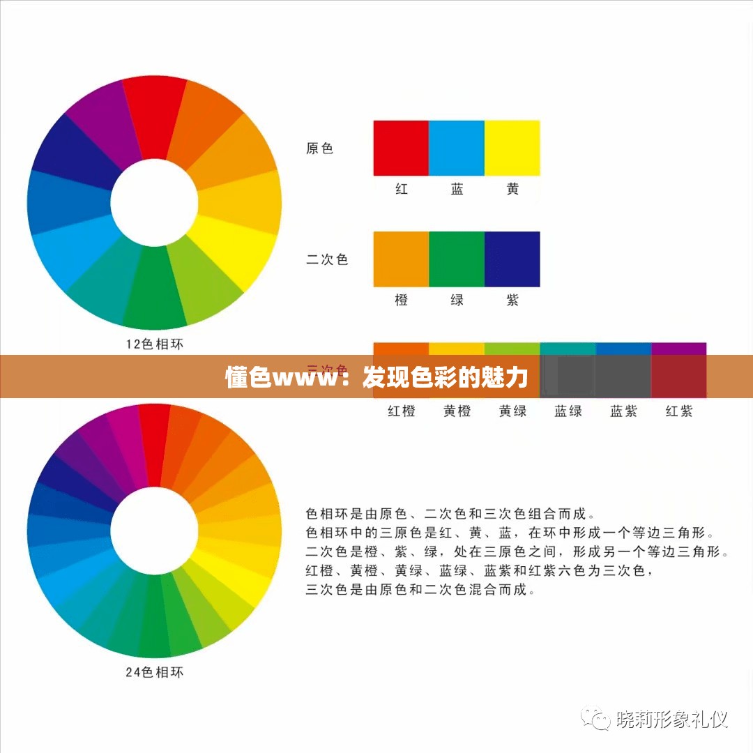 懂色www：发现色彩的魅力