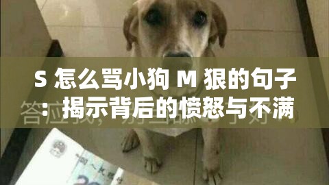 S 怎么骂小狗 M 狠的句子：揭示背后的愤怒与不满