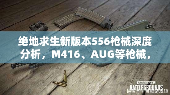 绝地求生新版本556枪械深度分析，M416、AUG等枪械，新版哪把最好用？