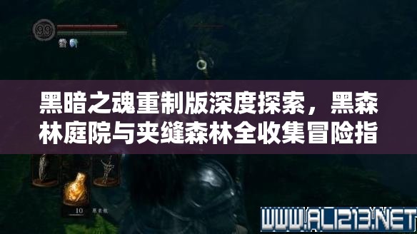 黑暗之魂重制版深度探索，黑森林庭院与夹缝森林全收集冒险指南