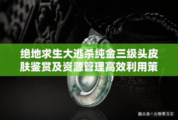 绝地求生大逃杀纯金三级头皮肤鉴赏及资源管理高效利用策略解析