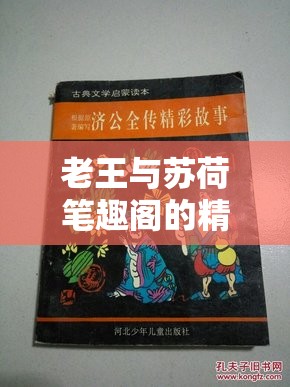 老王与苏荷笔趣阁的精彩故事等你来读