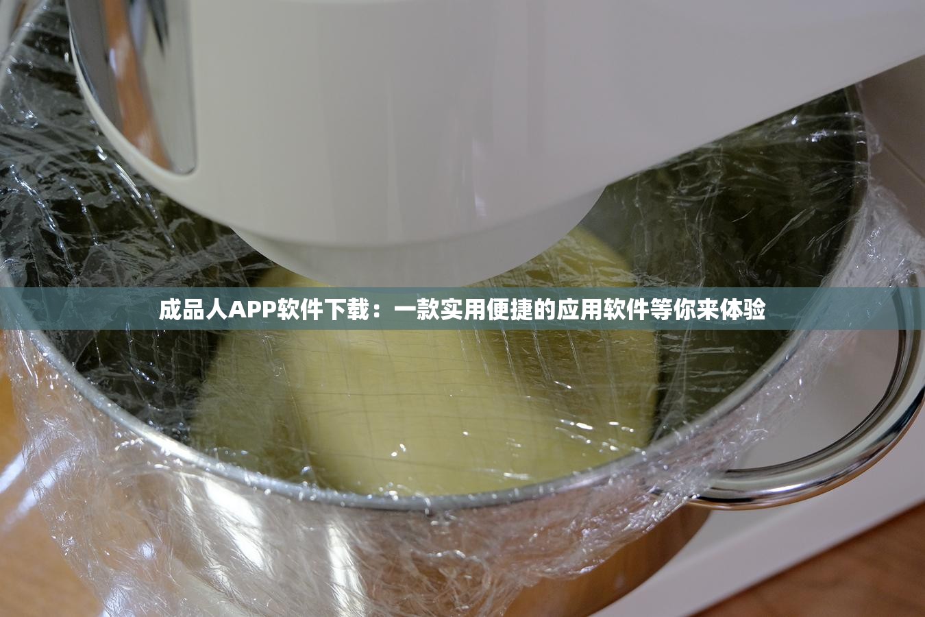 成品人APP软件下载：一款实用便捷的应用软件等你来体验