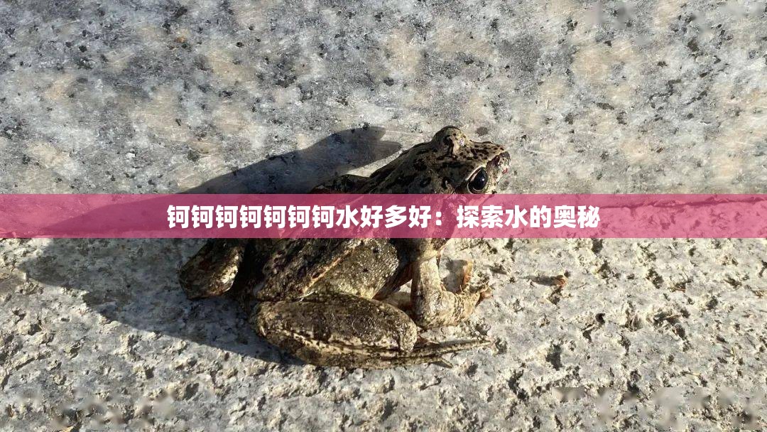 钶钶钶钶钶钶钶水好多好：探索水的奥秘