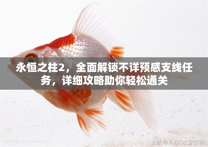 永恒之柱2，全面解锁不详预感支线任务，详细攻略助你轻松通关