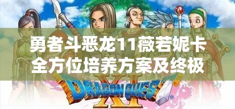 勇者斗恶龙11薇若妮卡全方位培养方案及终极最强装备推荐深度解析