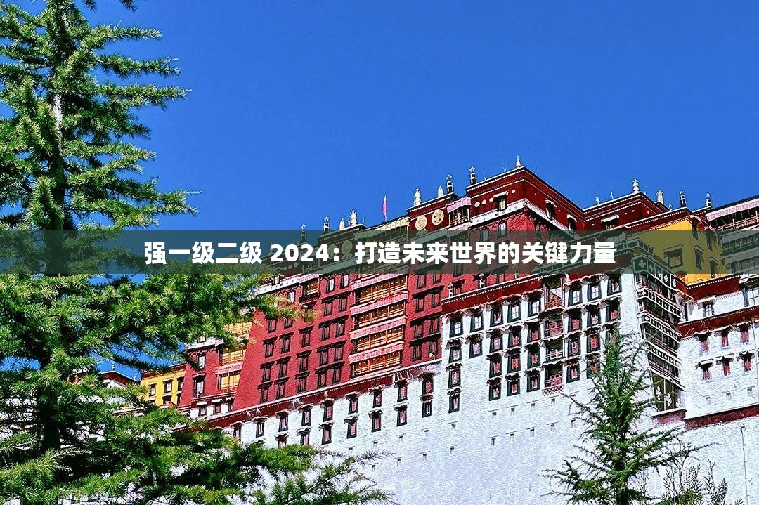 强一级二级 2024：打造未来世界的关键力量