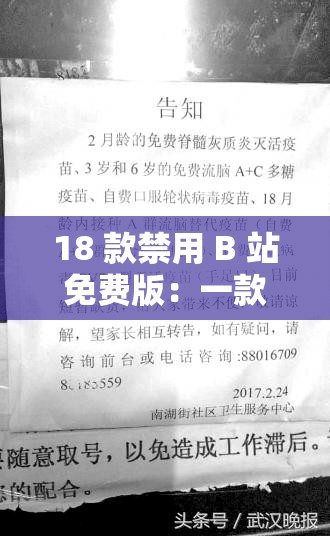 18 款禁用 B 站免费版：一款备受争议的视频软件