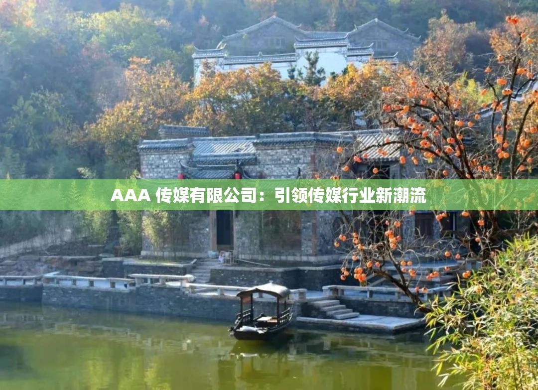 AAA 传媒有限公司：引领传媒行业新潮流