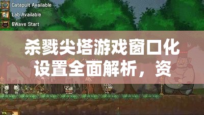 杀戮尖塔游戏窗口化设置全面解析，资源管理高效技巧及避免资源浪费指南