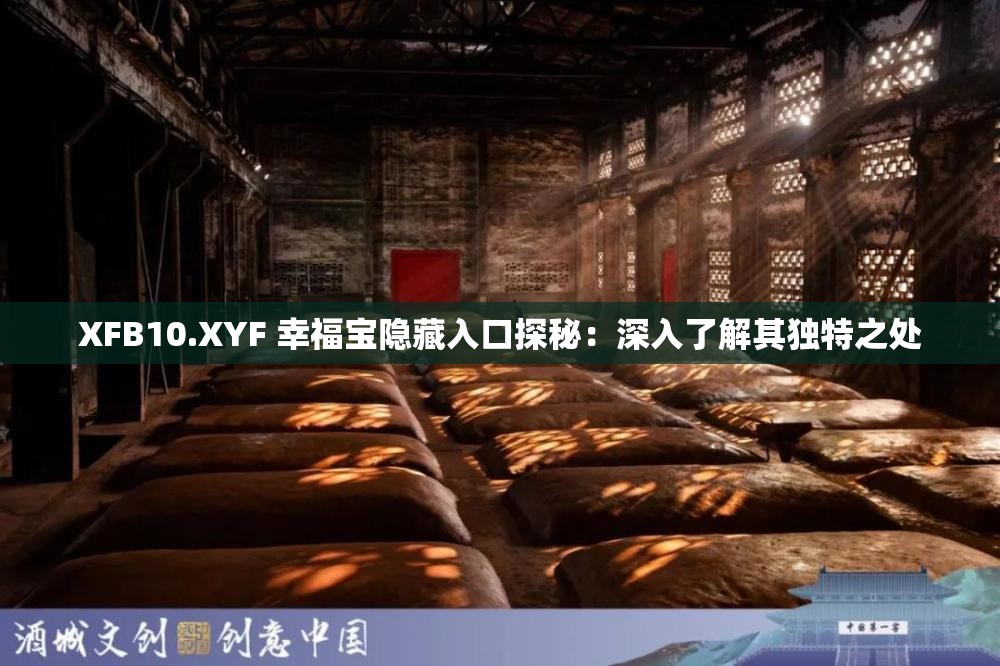 XFB10.XYF 幸福宝隐藏入口探秘：深入了解其独特之处