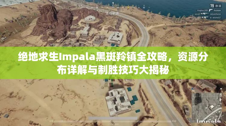 绝地求生Impala黑斑羚镇全攻略，资源分布详解与制胜技巧大揭秘